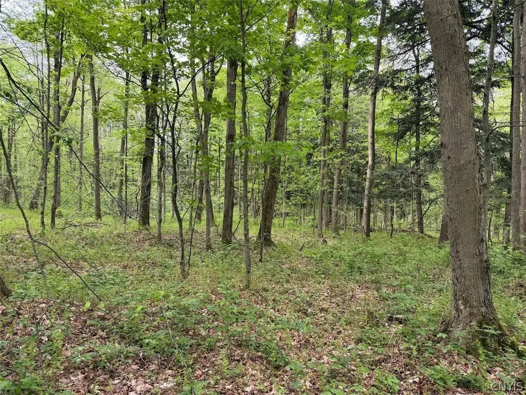 Picture 3