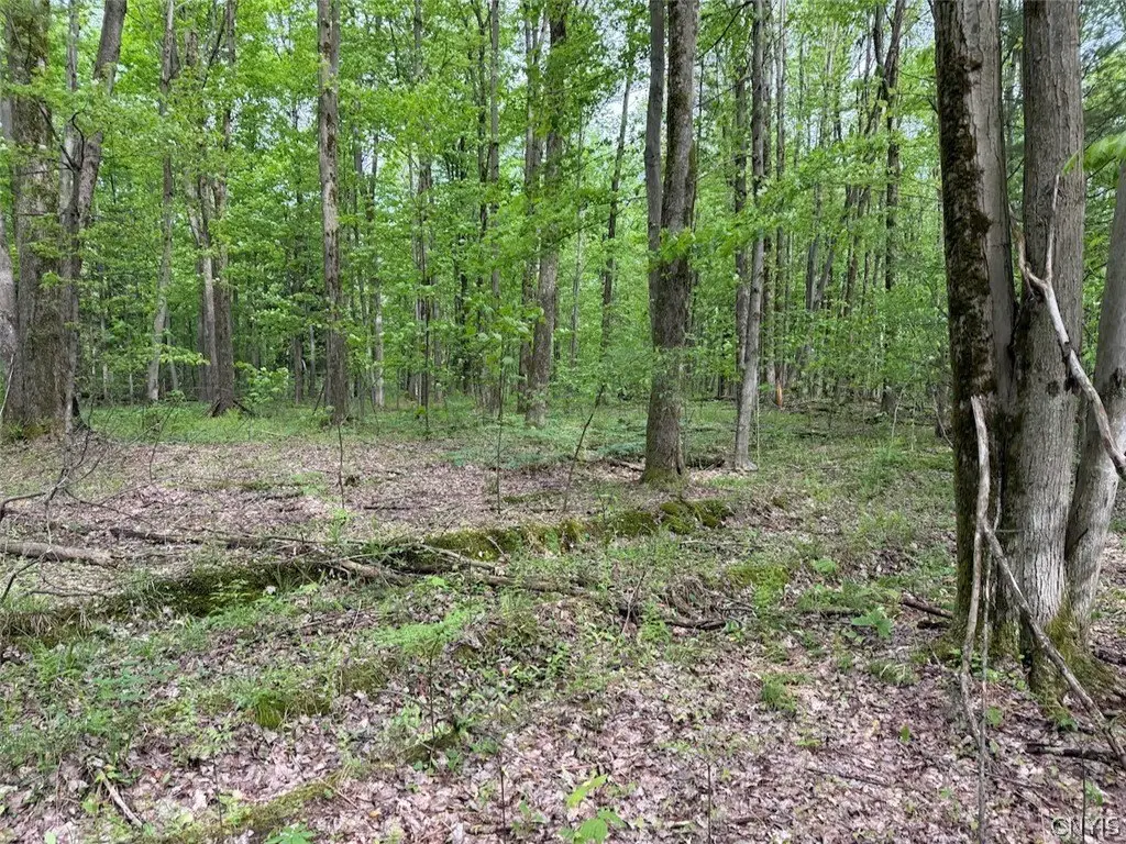 Picture 3