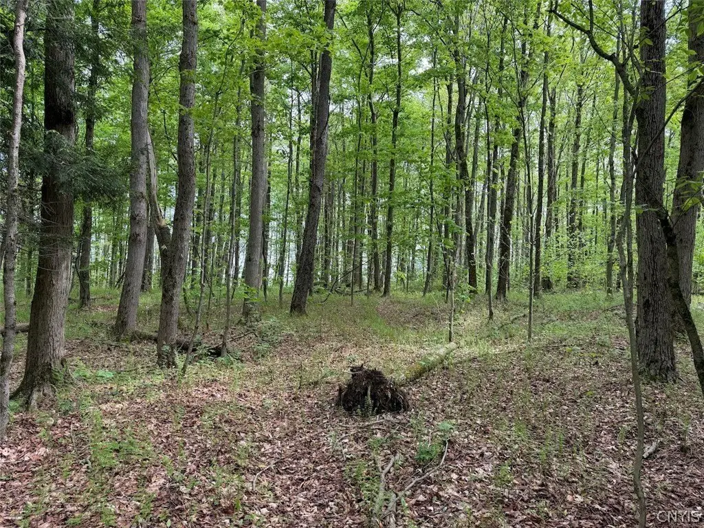 Picture 6