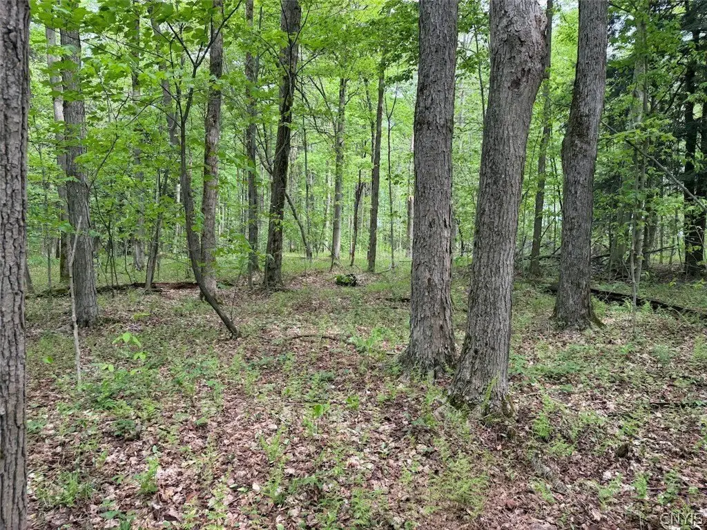 Picture 5