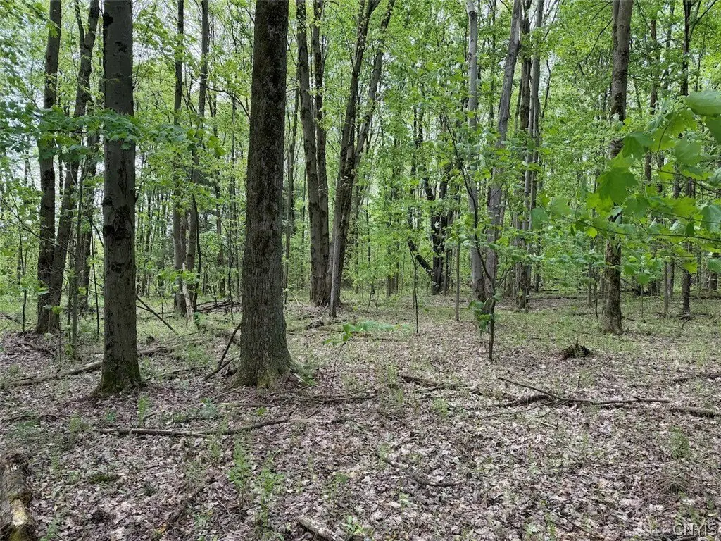 Picture 9