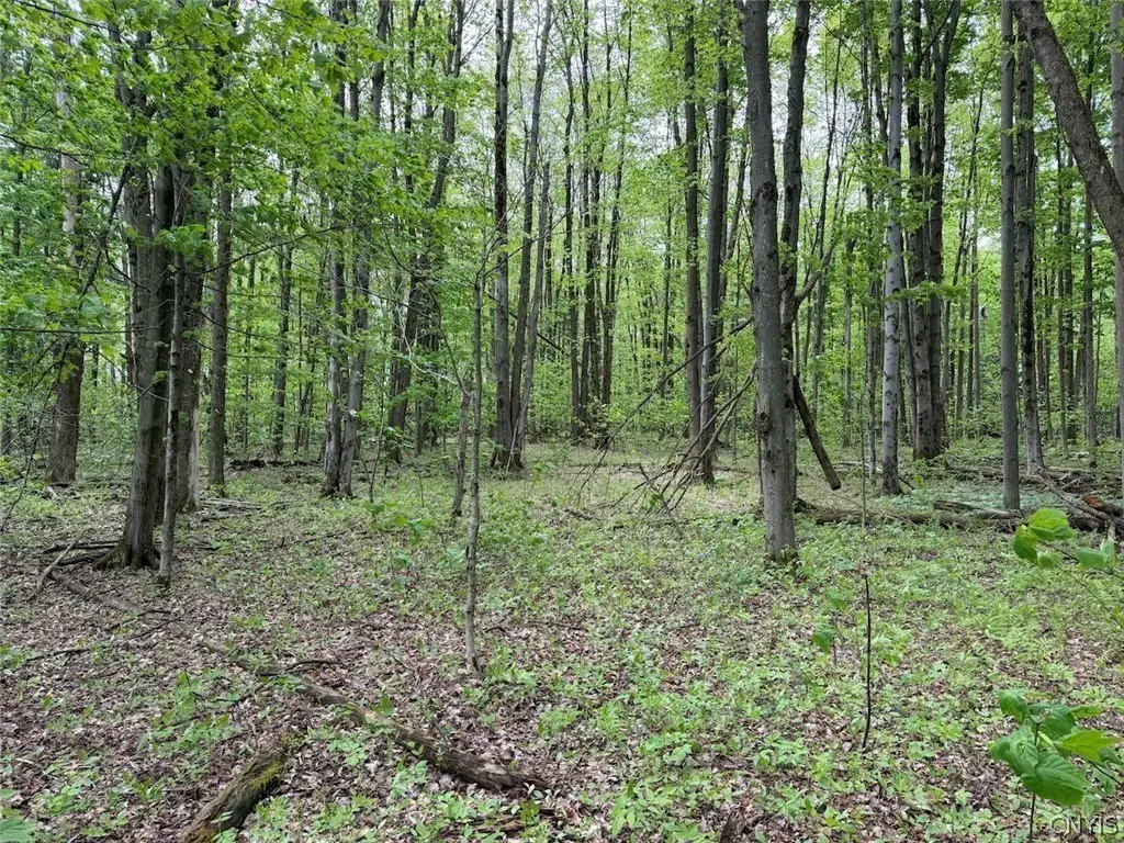Picture 8