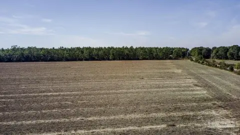 Pace, FL 8-Acre Parcel