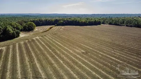 Pace, FL Acreage Homesite