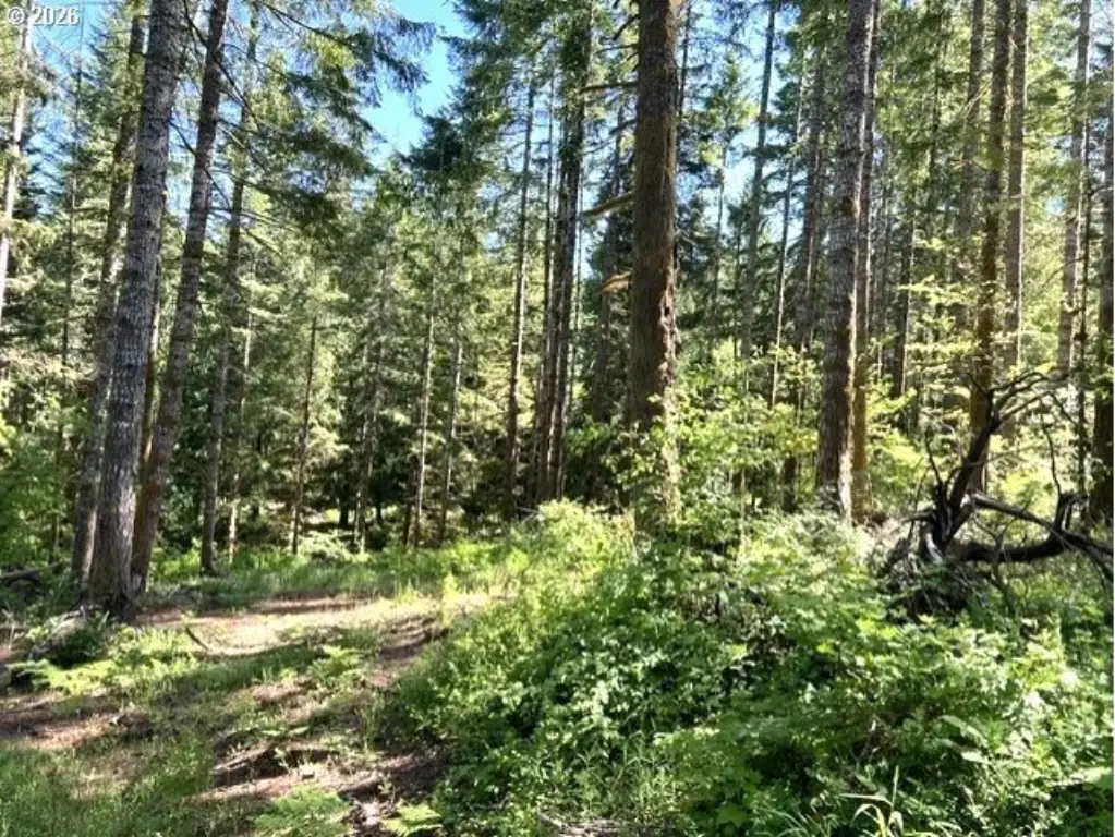 Picture 20