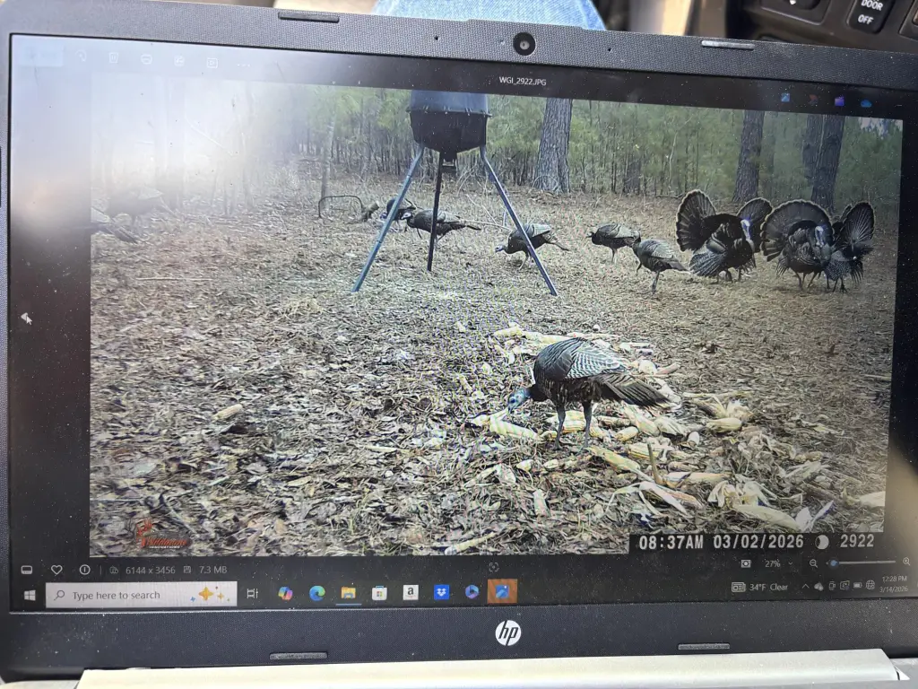 Picture 4