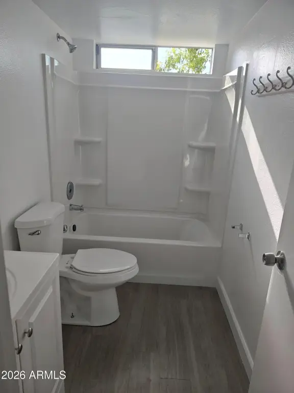 Picture 7