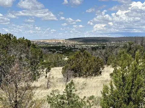 Land in Pine Meadows Ranch