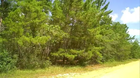 Land in Interlachen, Florida