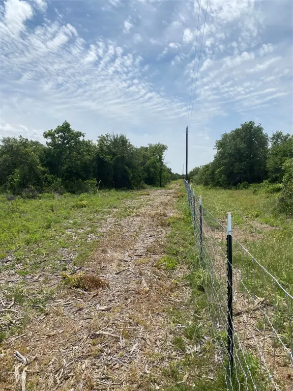 Picture 21