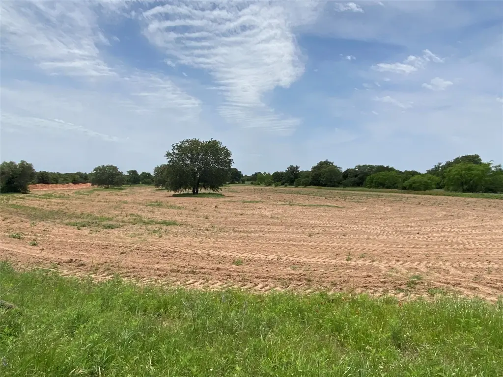 Picture 27