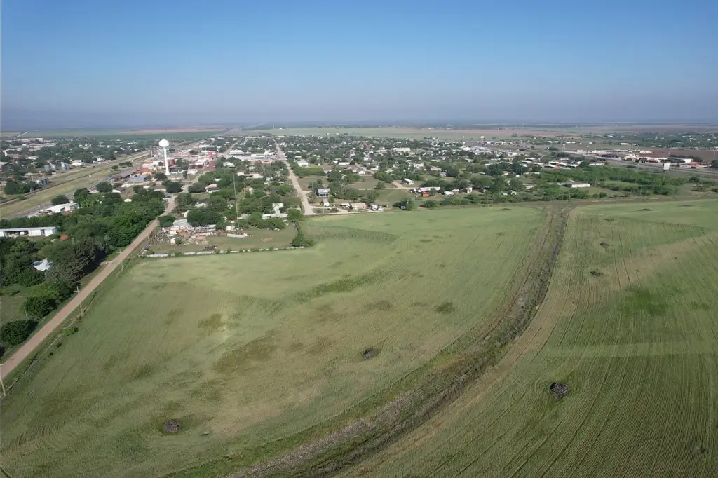 Picture 4