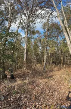 Hanover Acreage: Family Divide Potential