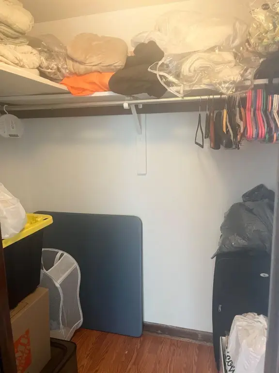 Picture 18