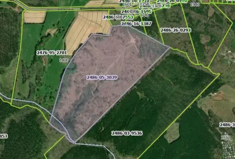 91.1 Acres Near Elkhorn Lake