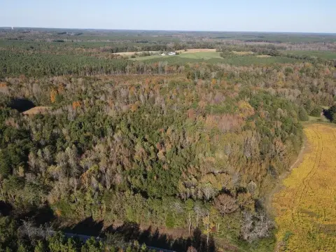 Skipwith Acreage with Building Potential