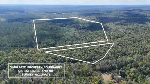 Charlotte County Timber Investment Opportunity