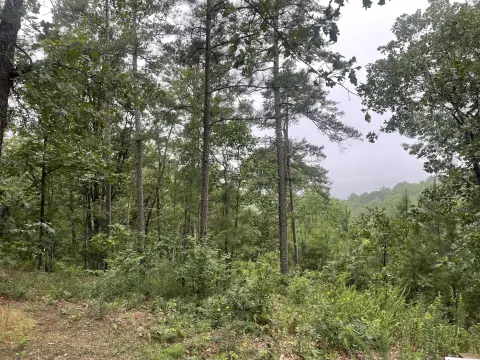 Ranger, GA Land For Sale