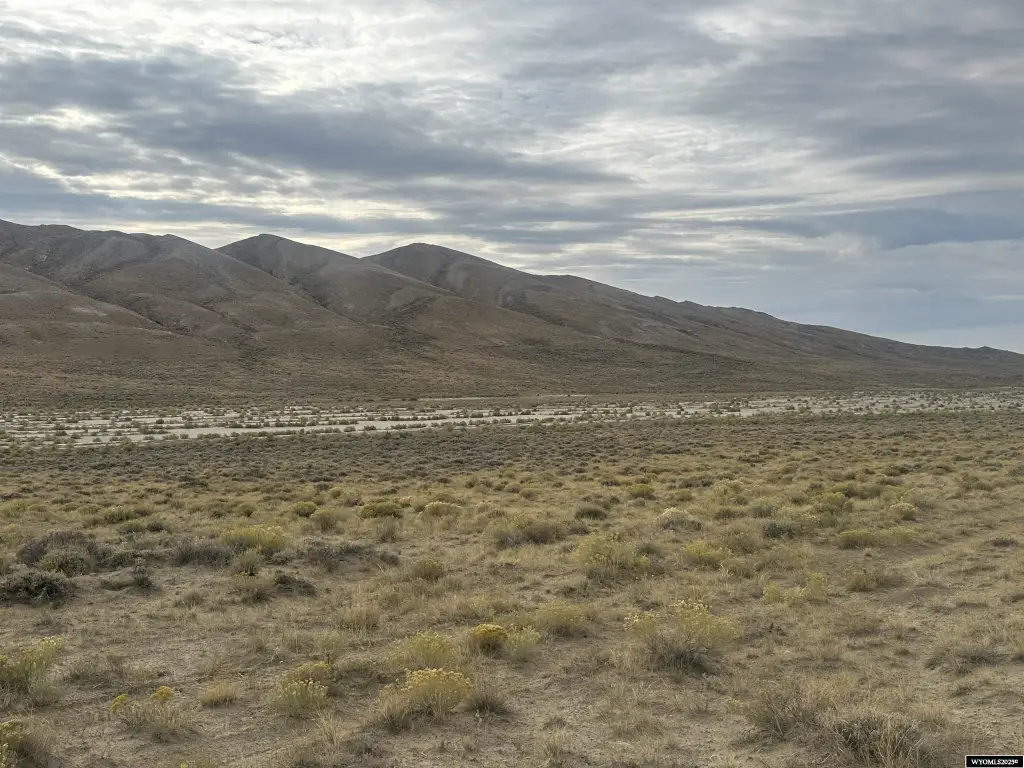 Picture 3