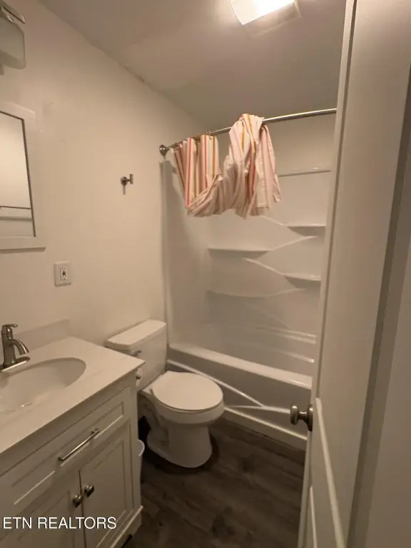 Picture 7