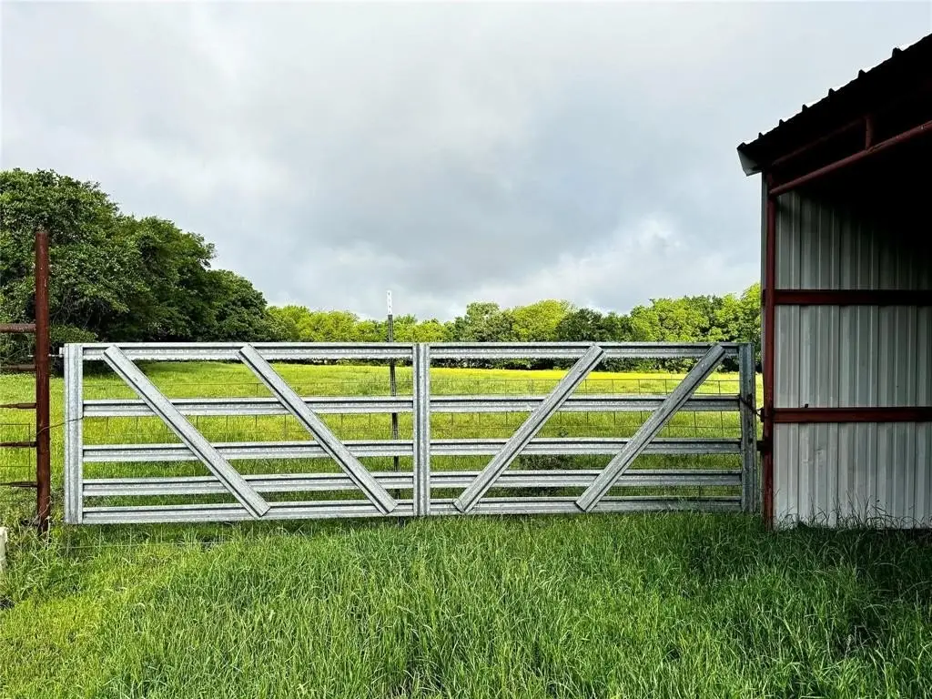 Picture 19