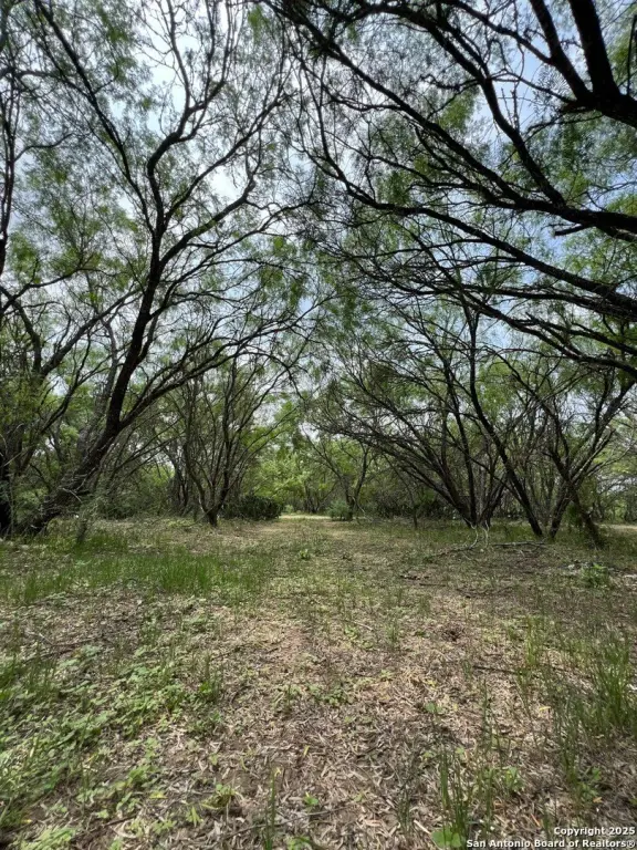 Picture 19