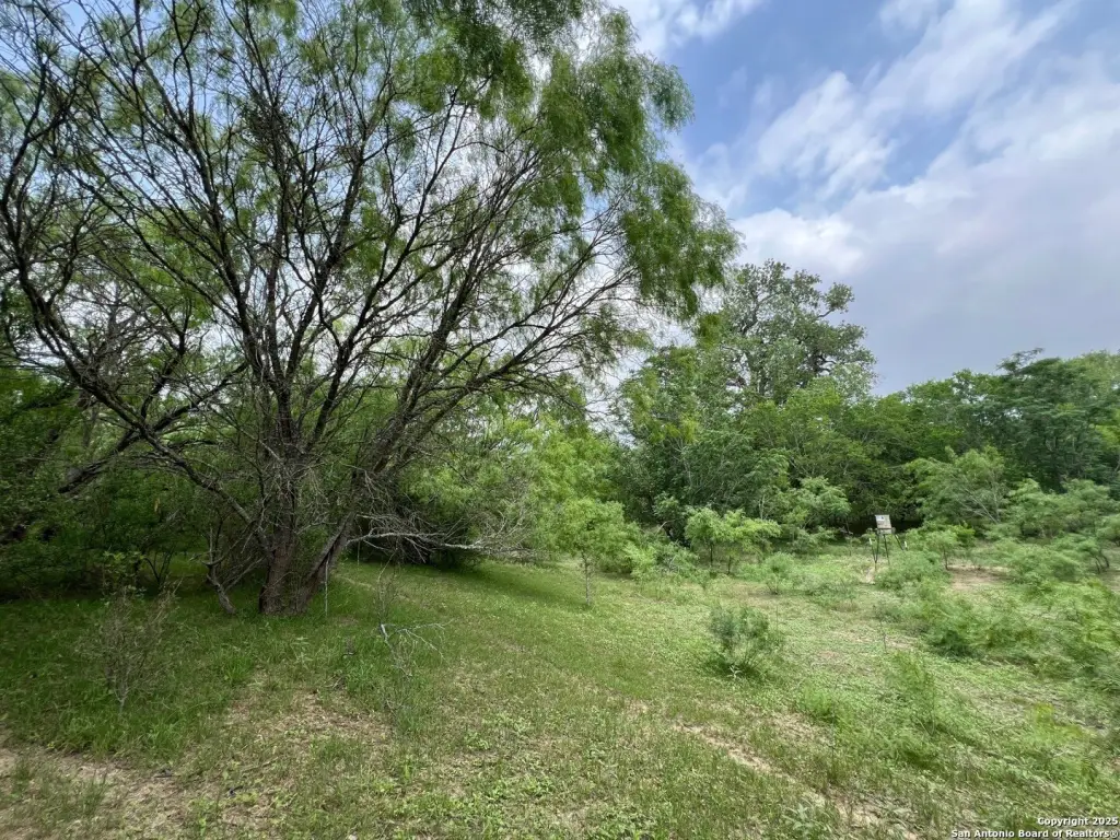 Picture 8