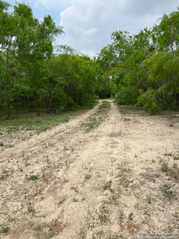 Picture 22