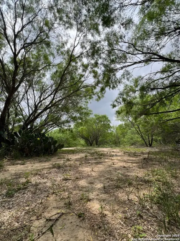 Picture 21