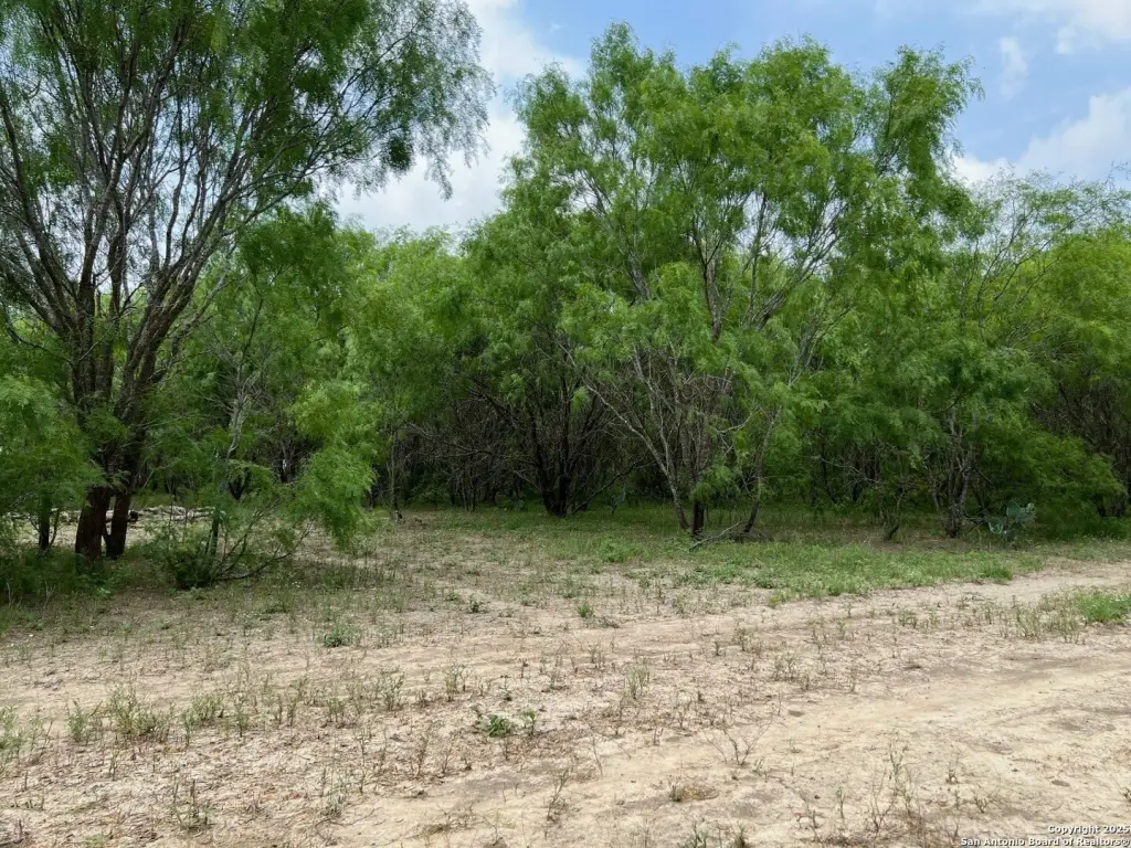 Picture 24