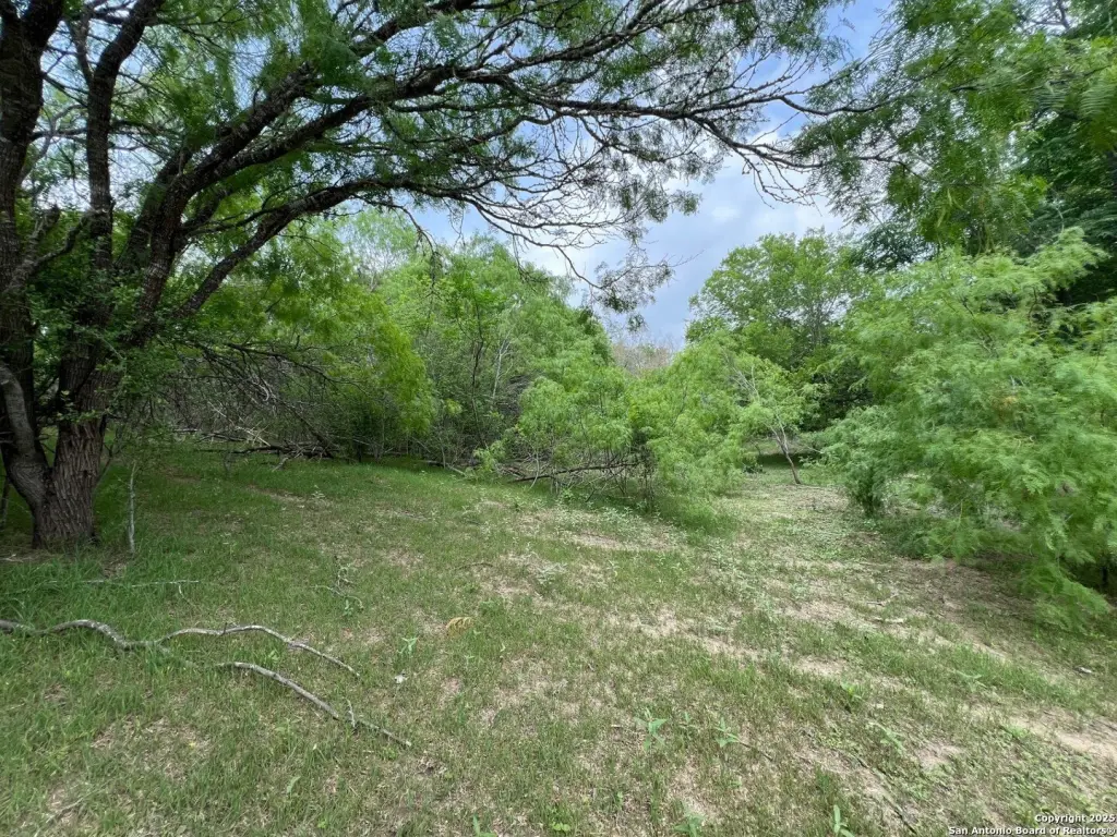 Picture 10