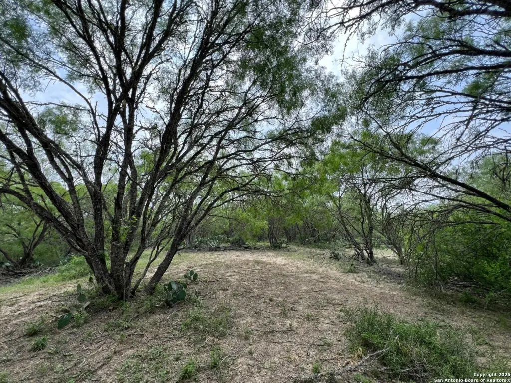 Picture 6