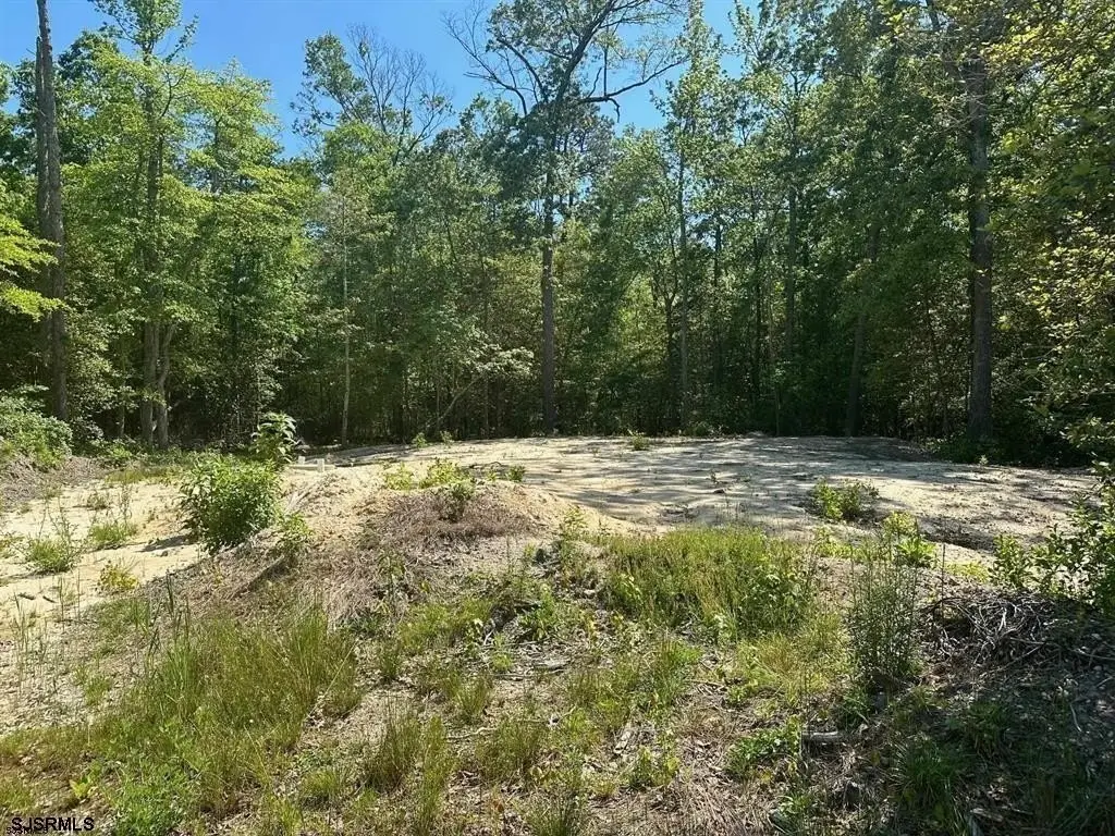 Picture 6