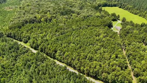 Nelson, VA Wooded Acreage Parcel