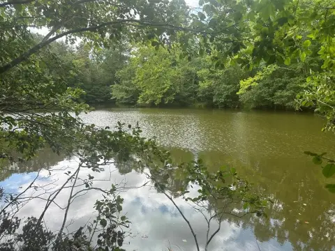 Halifax County Land with Pond