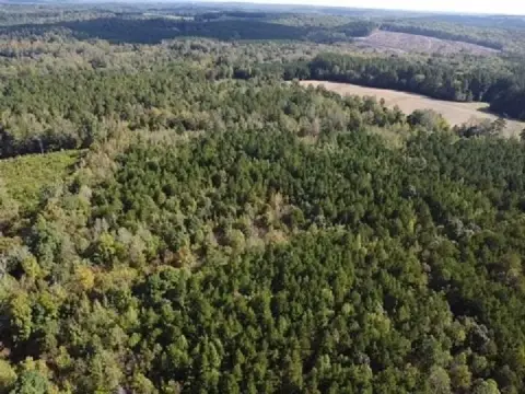 Secluded Wooded Acreage with Hunting