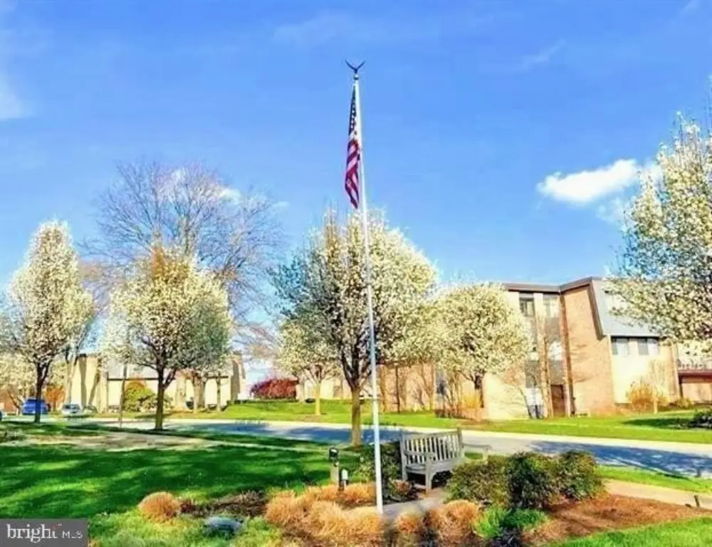 Picture 35