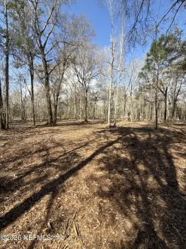 5-Acre Land Parcel in Lawtey