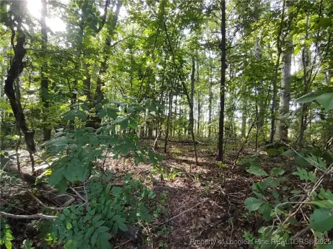 Sanford Land for Dream Home