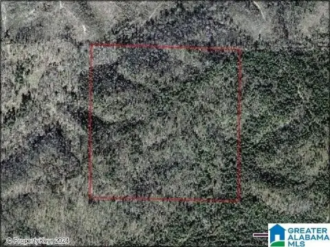 40 Acres in Pinson, Alabama