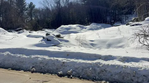 96 Acres of Land Available