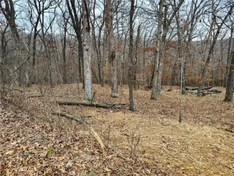 Ozark Mountain Corner Lot