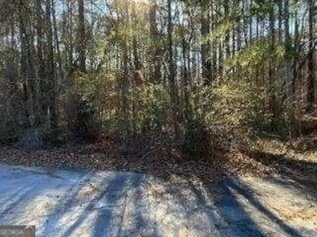 Picture 4