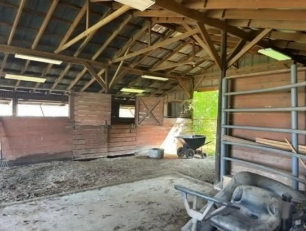Picture 16