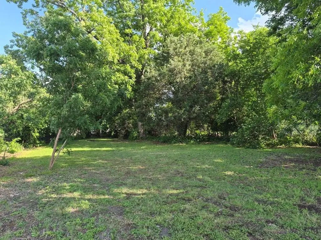 Picture 6