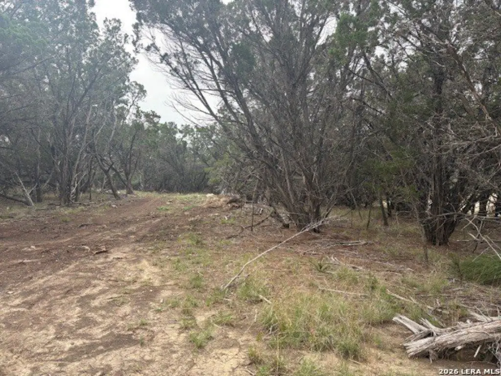 Picture 4