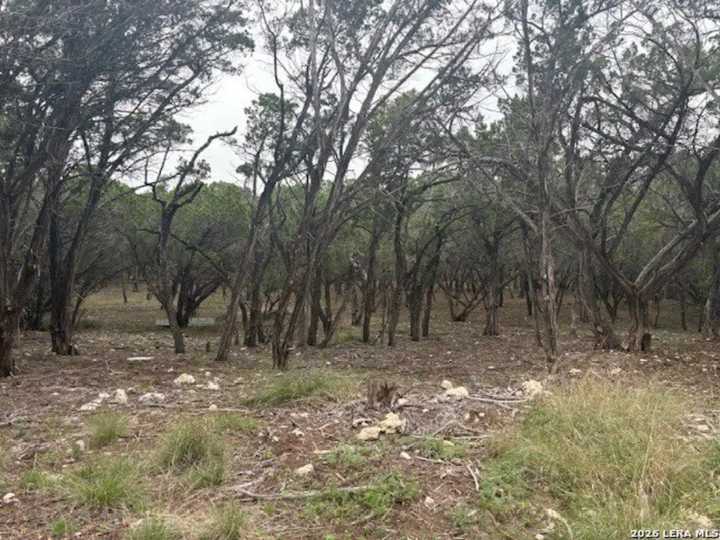 Picture 7
