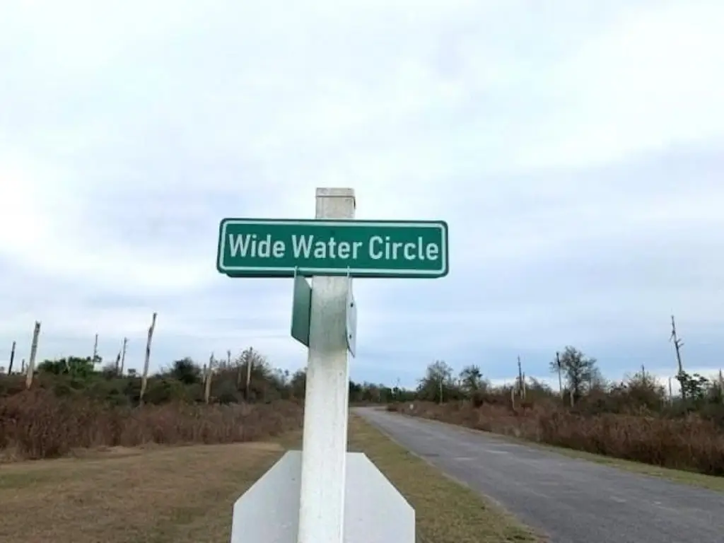 Picture 9