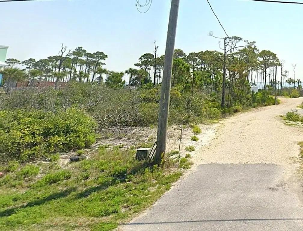 Picture 2