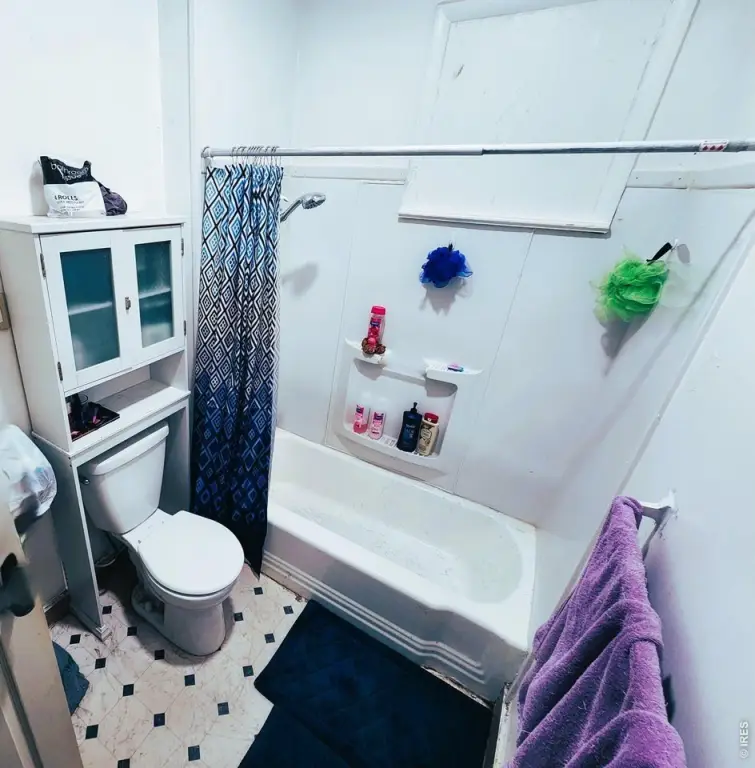 Picture 7